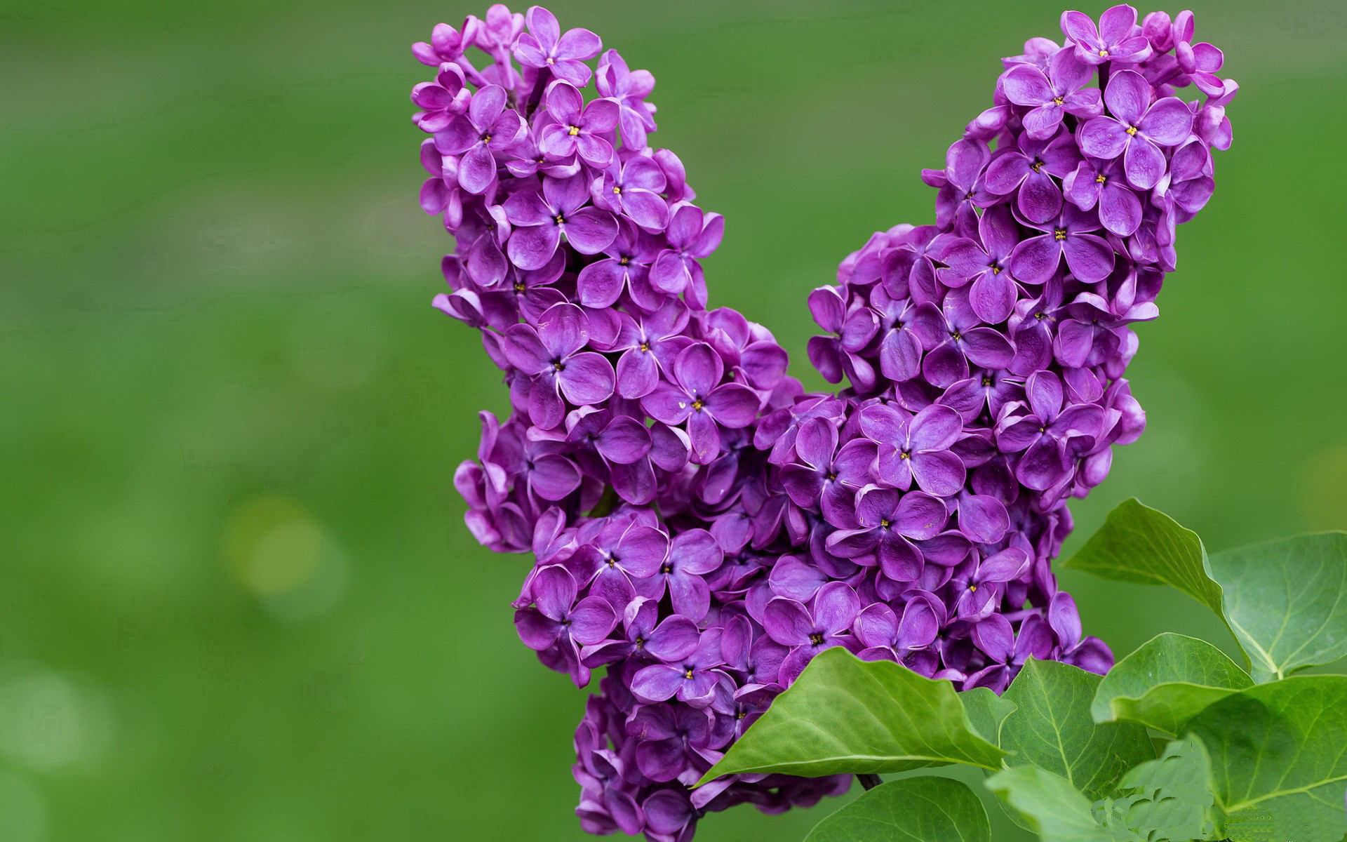 星空娱乐-LCK赛季关键对决前瞻，lck赛季关键对决前瞻在哪看