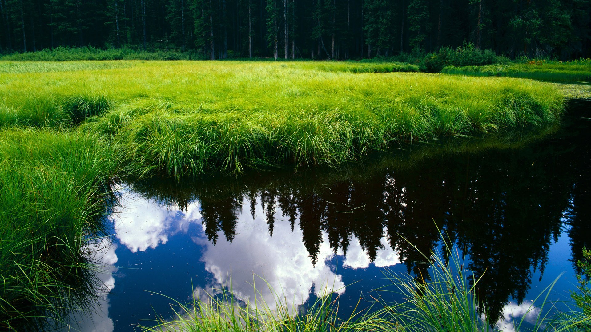 星空体育中国官网-博卡青年锋线表现抢眼,博卡青年2020主力阵容