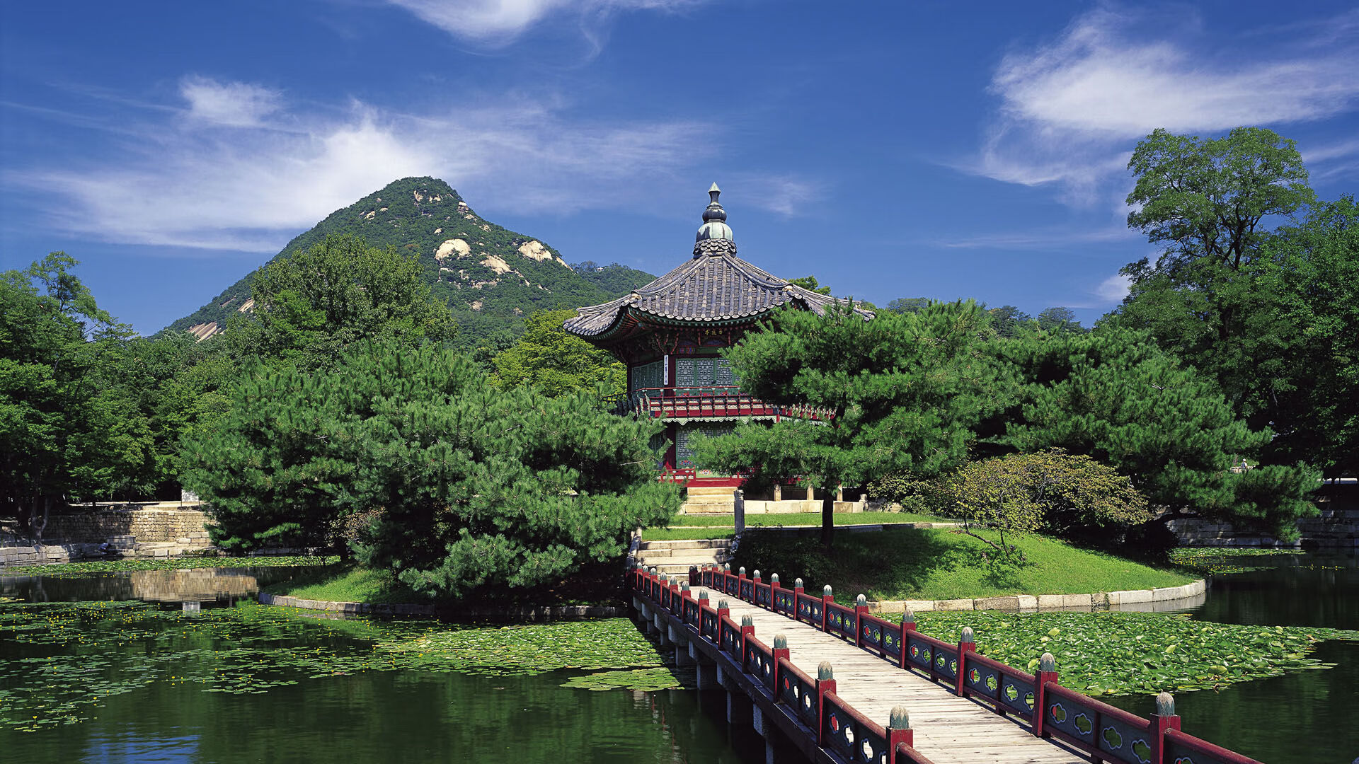 星空体育网页-多特蒙德客场2-1战胜沃尔夫斯堡,继续保持不败,多特蒙德vs沃尔夫斯堡比赛结果