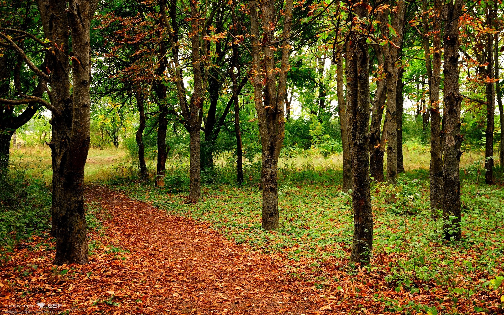 星空娱乐-雷霆翻盘快船,亚历山大突破乔治完成空中对抗得分,亚历山大乔治黑奴