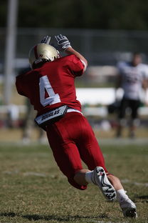 星空体育app官方网站-NBA球队战术板沟通模式对执行成功率的影响,篮球战术板画线