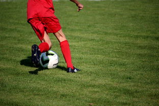 -中国篮球教练员培训体系现代化改革,中国篮球协会篮球教练员等级