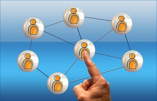 Xingkong-校园体育文化与学生心理健康关联研究,学校体育心理学的意义