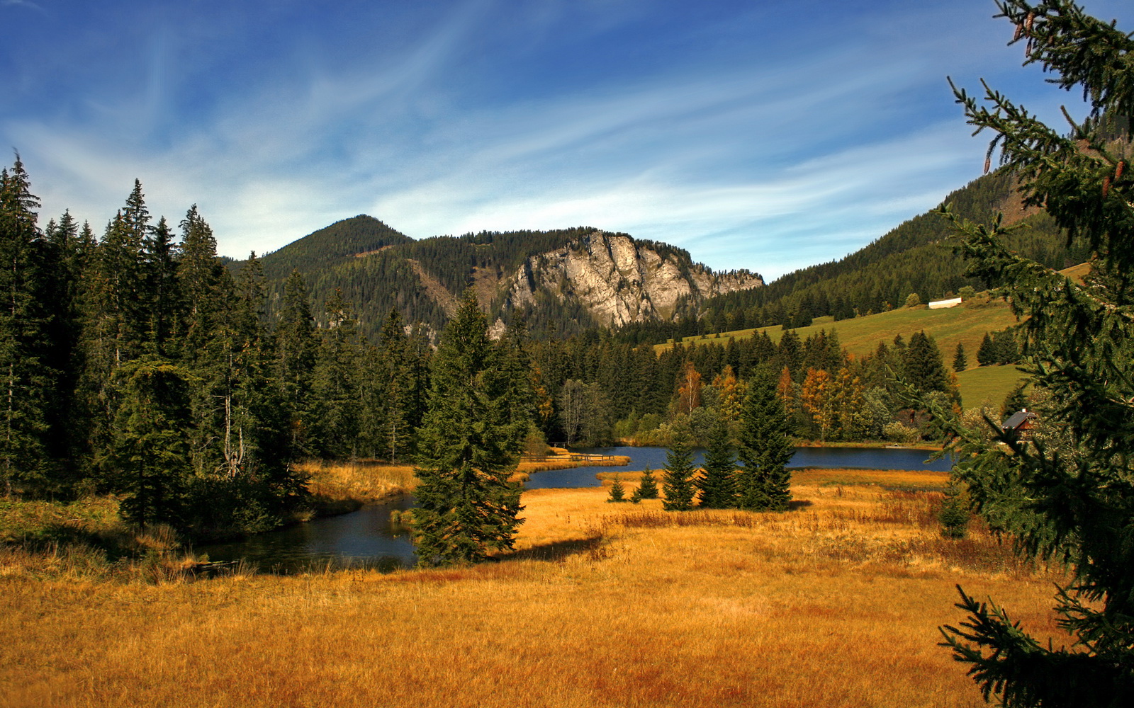 星空体育首页登录-加拿大队在国际乒联混合团体世界杯中的团体协作与战术亮点,加拿大队乒乓球