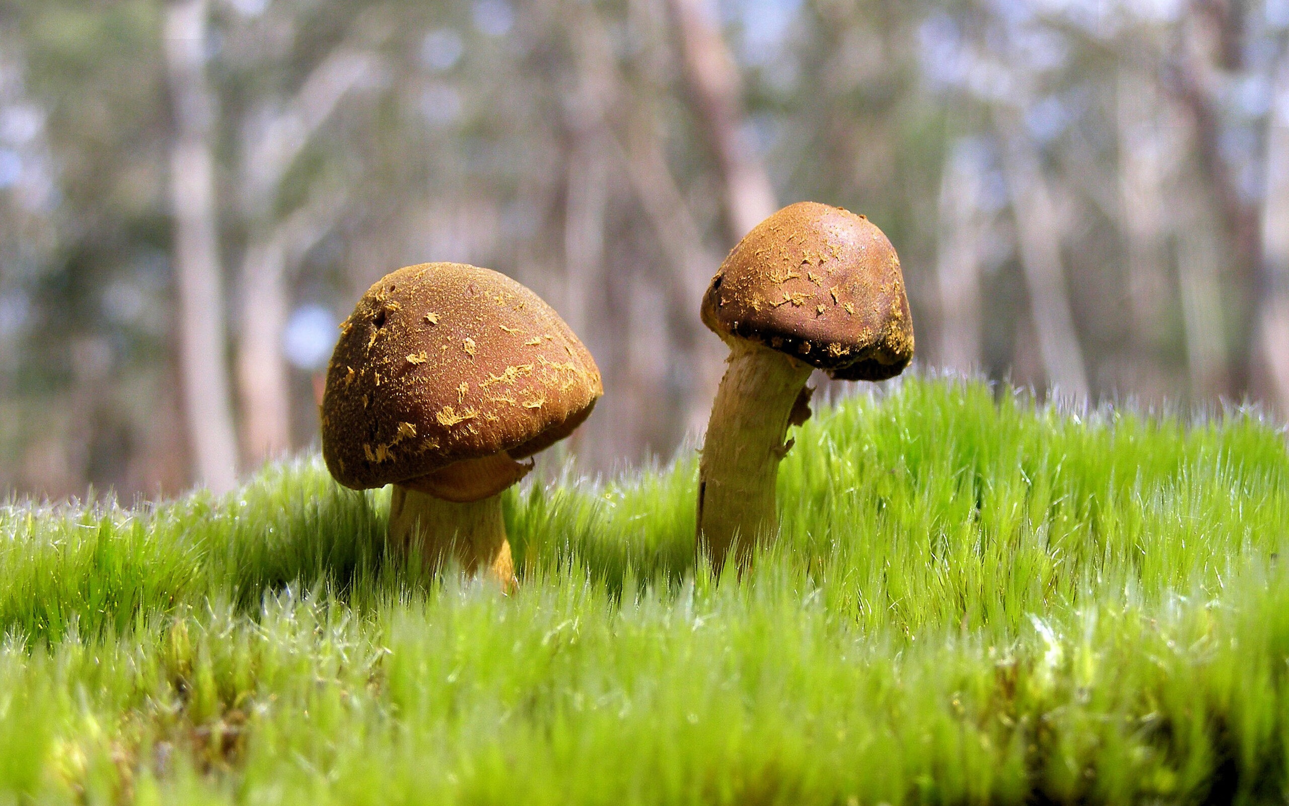 星空体育app-博卡中场横传过多，缺少直塞威胁，博卡vs