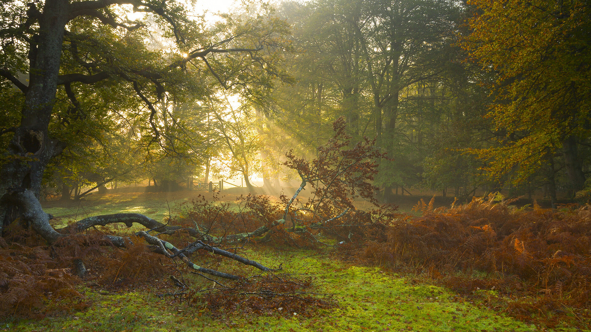 星空体育娱乐平台-国家队心理素质训练资源严重不足，国家队心理素质训练资源严重不足的原因