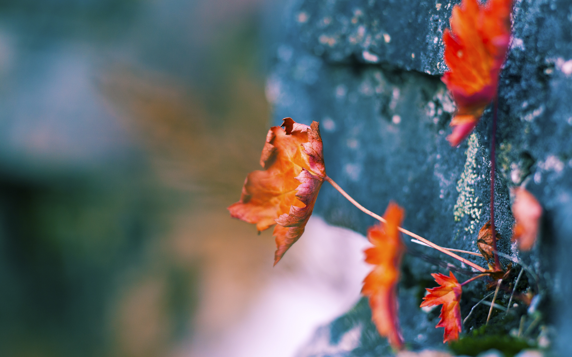 星空体育-青训体系将引入体能等级分级制度推动训练科学化，青训政策